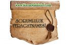 Sorumluluk Feragatnamesidir